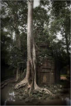 Angkor