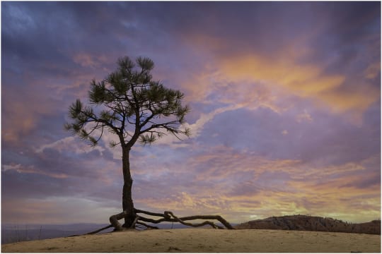 Bryce Canyon