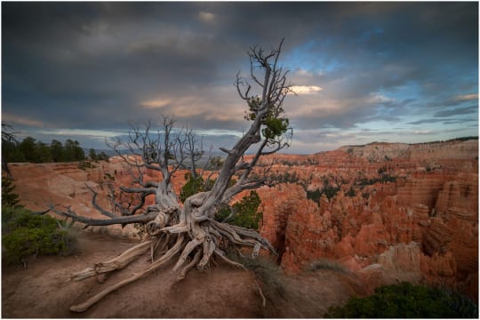 Bryce Canyon National Park