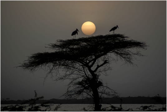 Etiopia