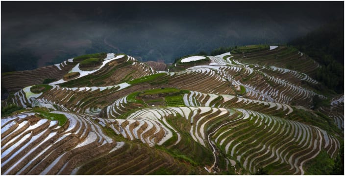 Longji_Rice_Terraces