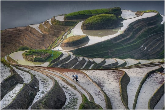 Longji_Rice_Terraces
