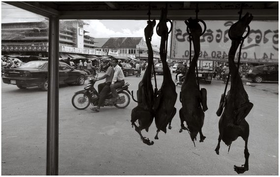 Camboya