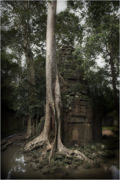 Angkor