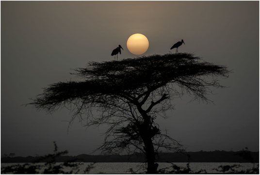 Etiopia