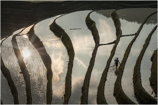 Longji_Rice_Terraces
