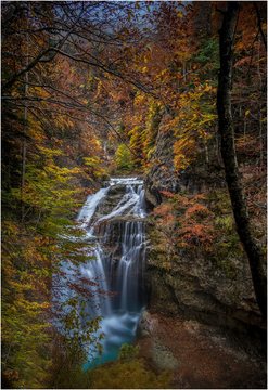 autumn
