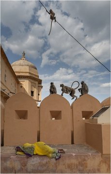 Jaipur_Amber_Fort