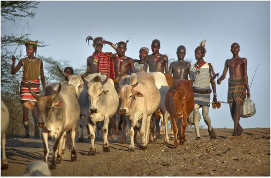 Ukuli bula (2)