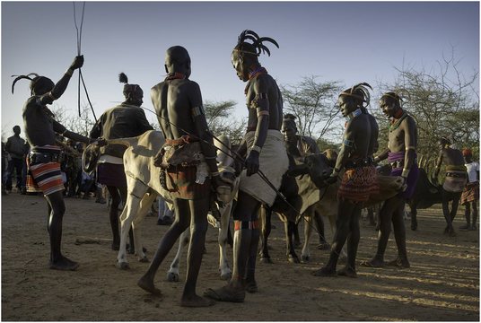Ukuli bula (4)