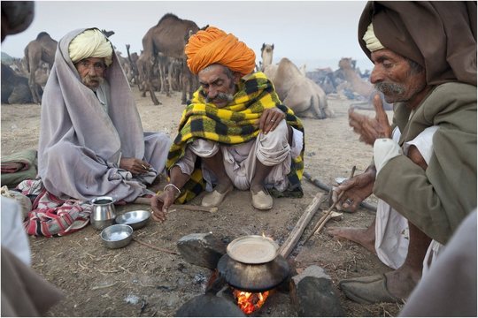 Camel Mela (11)