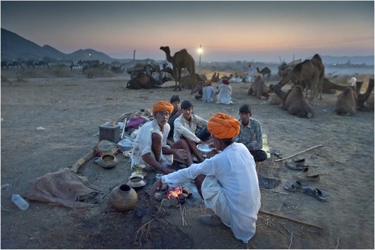 Camel Mela (15)