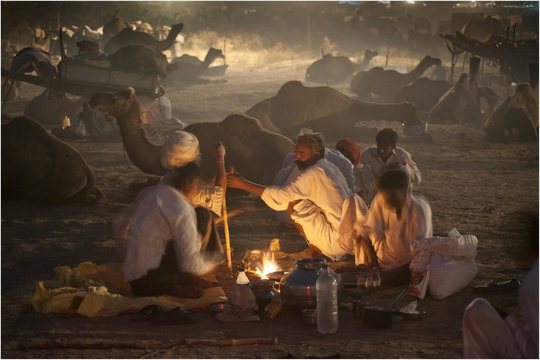 Camel Mela (5)