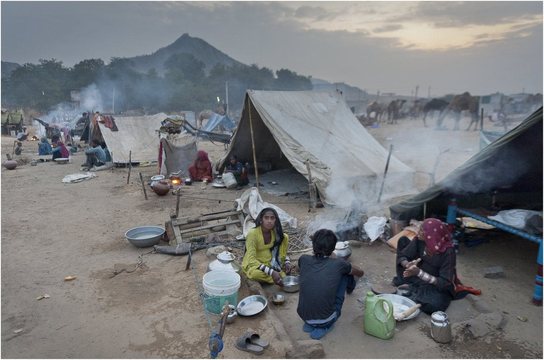 Camel Mela (7)