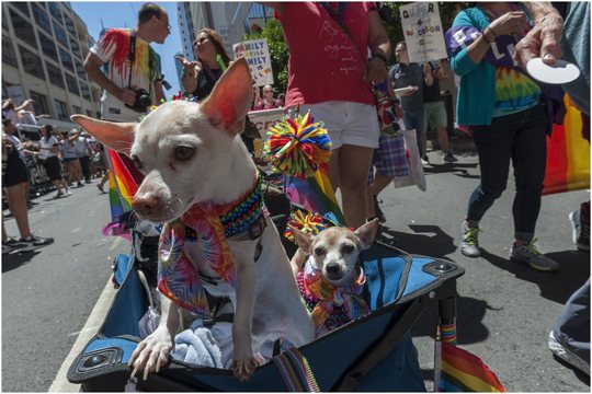 San Francisco Pride