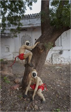 kota_dussehra_mela